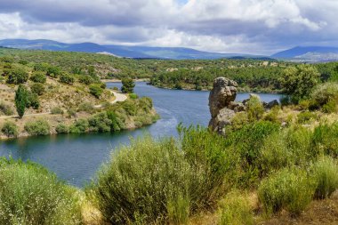 Madrid 'deki Atazar Gölü' nün havadan görünüşü. Çam ormanı ve bulutlu mavi gökyüzü. Atazar.