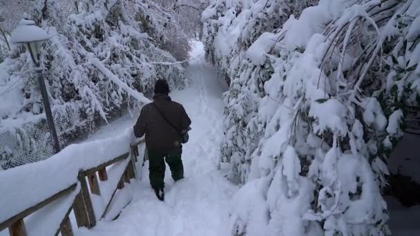 Uomo Scala Discendente Parco Totalmente Innevato Paesaggio Bianco Nevoso Tempesta — Video Stock