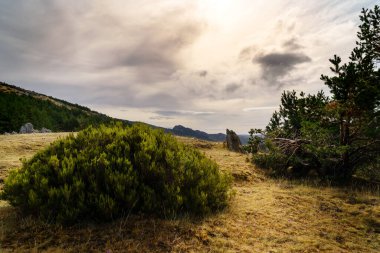 Yeşil bitkilerle kayaların manzarası, dramatik gökyüzü bulutlarla ve uzak dağlarla