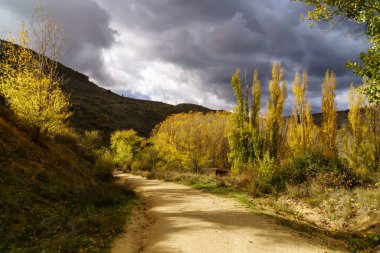 Fırtına gökyüzü. Gün batımında ağaçların üzerinde kara bulutlar. Sepulveda, Segovia