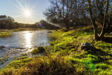 Güneş ışınlarıyla güneşli bir manzara, kışın güneş doğarken su ve çimlerle dolu bir nehir. Gredos, Avila