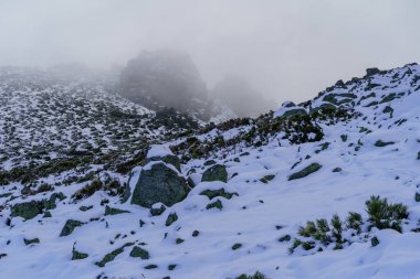 Madrid dağının karlı manzarası, zemini kaplayan beyaz kar ve dağdan gelen yoğun sis. La Morcuera Madrid 'de. İspanya.