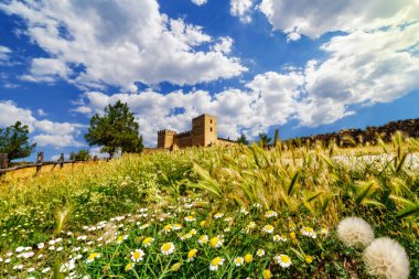 Farklı renklerde yabani çiçeklerle, dikenlerle ve ağaçlarla dolu bir manzara. Ufuktaki arka planda ortaçağ kalesi, beyaz bulutlu mavi gökyüzü. Pedraza, Segovia. İspanya.