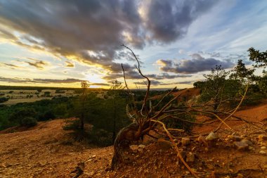 Tarlada günbatımı manzarası, ağaçlar, kırmızı toprak ve gökyüzü... Alacakaranlık mavi ve turuncu tonlarda büyük bulutlar. Geniş açı, panoramik fotoğraf. İspanya.