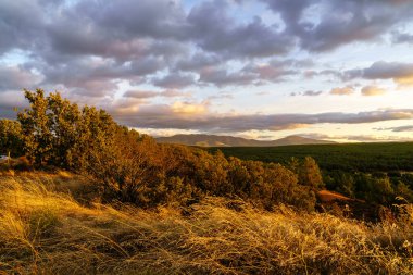 Tarlada günbatımı manzarası, ağaçlar, kırmızı toprak ve gökyüzü... Alacakaranlık mavi ve turuncu tonlarda büyük bulutlar. Geniş açı, panoramik fotoğraf. İspanya.