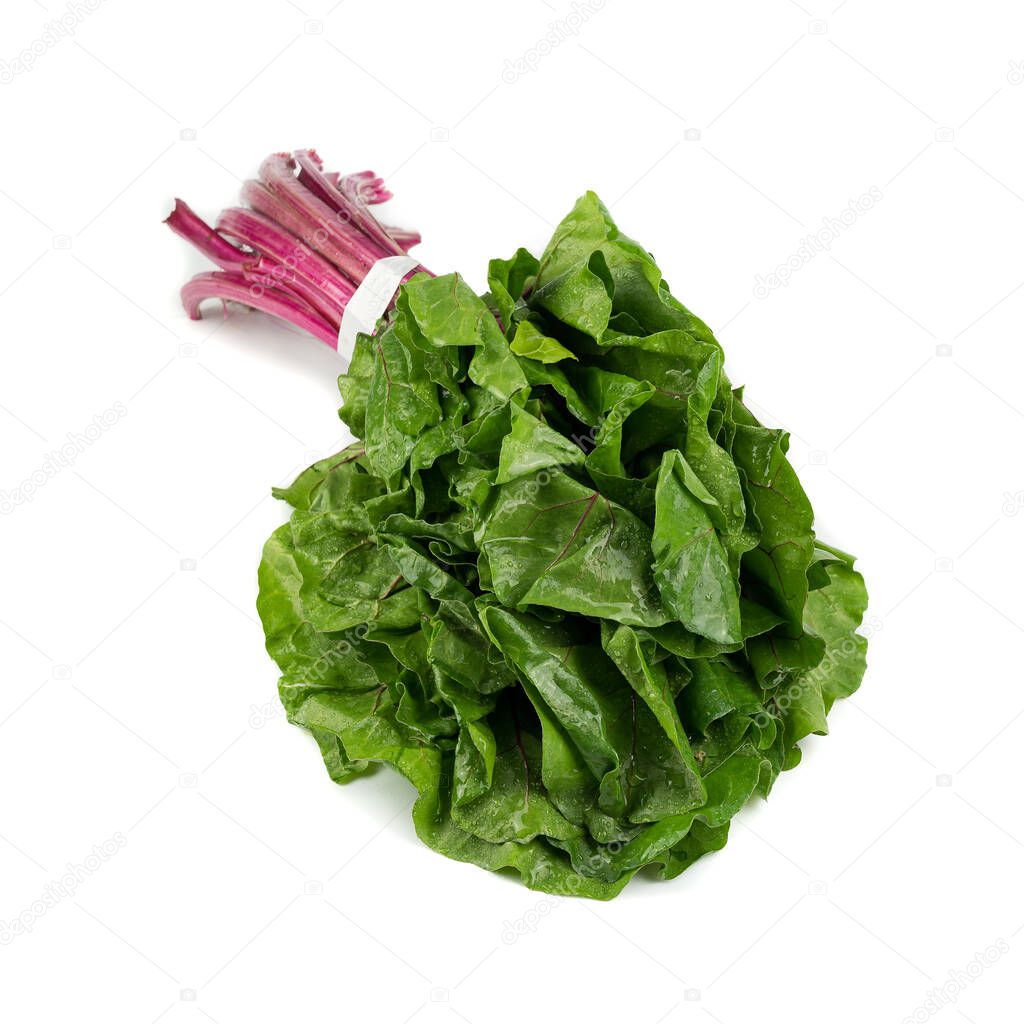 Bunch of red chard grouped together, fresh looking with water drops, isolated on white background. Vegetables background and copy space. Food