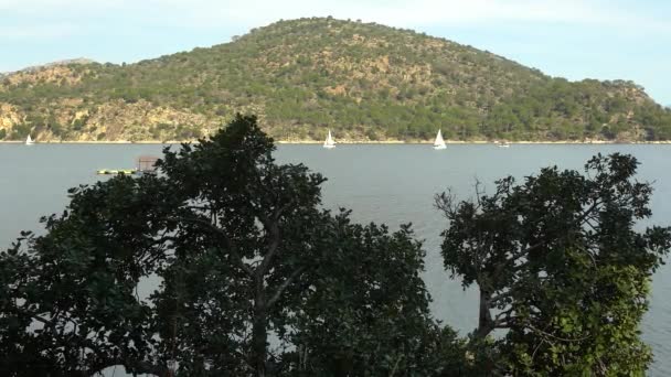 Paisaje Lago Amanecer Con Veleros Navegando Agua Montañas Verdes Con — Vídeos de Stock