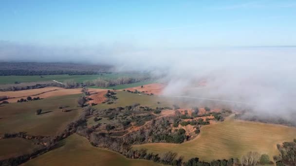 Εναέρια Άποψη Του Αγροτικού Τοπίου Ενώ Ένα Μεγάλο Σύννεφο Ομίχλης — Αρχείο Βίντεο
