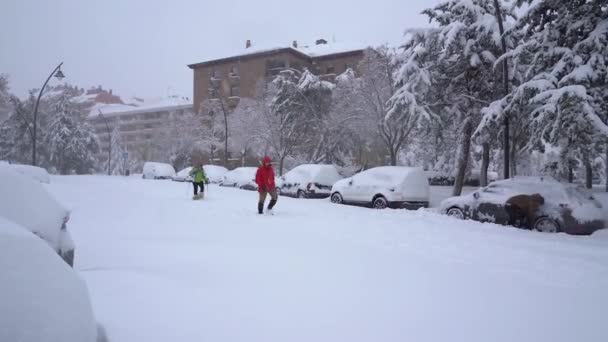 Tres Cantos Madrid Spanien Januar 2021 Ein Großer Schneesturm Namens — Stockvideo