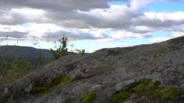 Vadiler ve dağlar arasındaki sakin su gölü bulutlu gökyüzü ve yeşil bitki örtüsüyle. Madrid Atazar. Avrupa