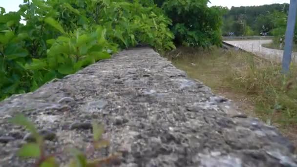 Réservoir Eau Bleue Avec Des Plantes Des Arbres Verts Ciel — Video