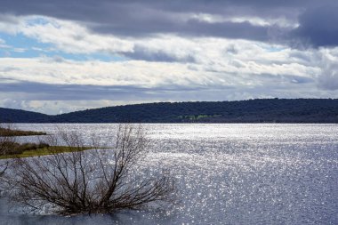 Göl manzarası, sudaki bitkiler ve ağaçlar, karanlık bulutlar ve sudaki güneşin yansımaları. Madrid Guadalix. Avrupa.