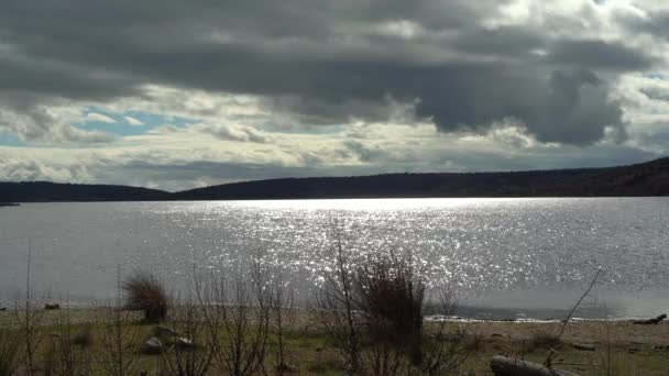 Paisaje Del Lago Con Plantas Árboles Agua Nubes Oscuras Reflejos — Vídeos de Stock