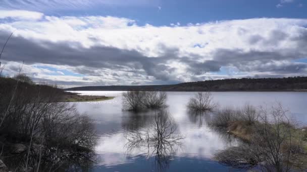 Movimento Lento Paisagem Lago Com Plantas Árvores Água Nuvens Escuras — Vídeo de Stock