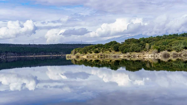 Paisagem Lago Azul Plantas Verdes Com Reflexos Água Formando Uma — Fotografia de Stock