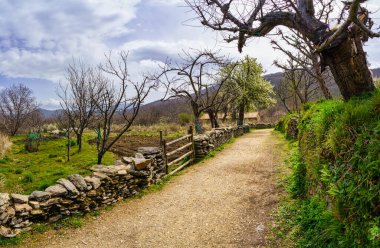 İlkbaharda tarımsal bahçeler ve çiçek açan ağaçlar arasındaki kırsal bölgede. İspanya.