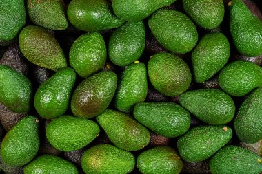 Birçok avokado parçasının arka planı, genel görünüm, stüdyo yemek fotoğrafçılığı. Makro