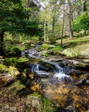 Kayaların arasından suyla dolu yeşil bir pınar manzarası var. Navacerrada Madrid İspanya.