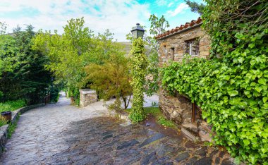 Dağ manzaralı, taş cepheli ve yeşil bitkileri olan eski bir kasaba caddesi. Patones de Arriba Madrid. İspanya.