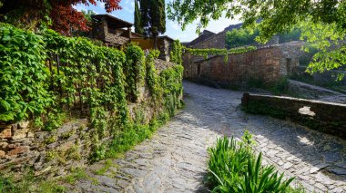 Sarmaşık kaplı duvarları ve sabah ışığı olan eski kasaba sokakları. PAtones de Arriba Madrid. İspanya.