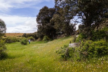 Yeşil çayırlarda yürüyen bir kadın. Birçok renkten yabani çiçeklerle. İspanya.