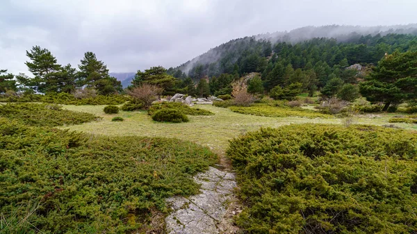 Paisagem Verde Altas Montanhas Com Nevoeiro Cume Vegetação Verde Ambiente — Fotografia de Stock