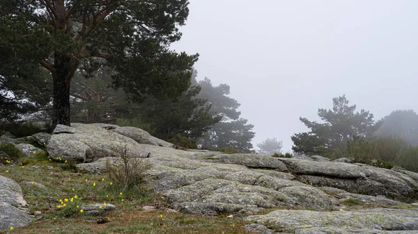 Paisagem Nebulosa Altas Montanhas Dia Nublado Com Ambiente Frio Canencia — Fotografia de Stock