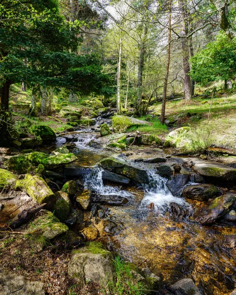 Green Spring Landscape Stream Water Falling Rocks Idyllic Setting Navacerrada — Stock Photo, Image