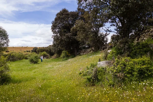 Yeşil çayırlarda yürüyen bir kadın. Birçok renkten yabani çiçeklerle. İspanya.