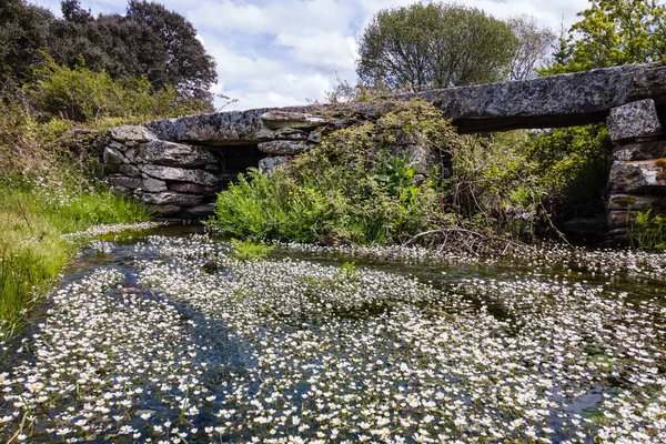 Oude Stenen Brug Een Beek Met Kristalhelder Water Witte Bloemen — Stockfoto