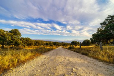 Akdeniz ormanı ve toprak yol üzerindeki kırsalda şafak söküyor..