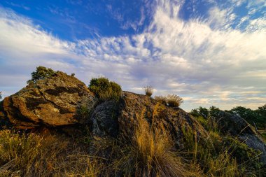 Tarladaki kayaların ve bitkilerin üzerindeki bulutlar.