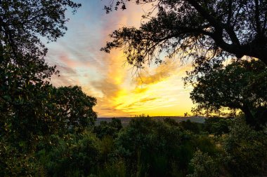 Altın gün doğumu ufukta güneş yükselirken.
