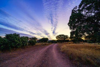 Gün doğarken toprak yol ufku gösteriyor..