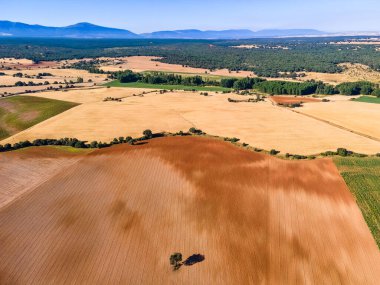 Yazın arka planda hasat edilen tarlaların ve dağların kırsal manzarası.
