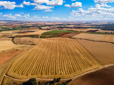 Güneşli bir günde ve mavi gökyüzünde ekilebilir tarlaların havadan görüntüsü. Segovia.