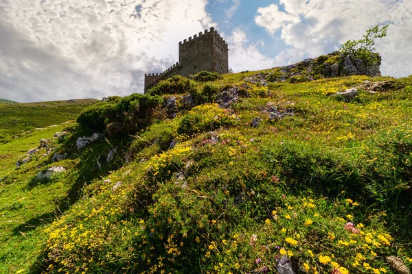 Middeleeuws Kasteel Bovenop Heuvel Met Veelkleurige Bloemen Berg Argueso Santander — Stockfoto