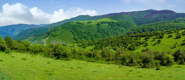 Grüne Landschaft Tal Mit Bergen Und Üppiger Vegetation Santander — Stockfoto