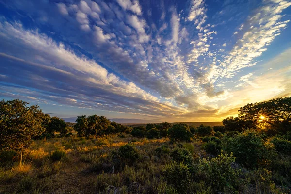 Tramonto Dorato Con Raggi Sole Nuvole Bianche Sul Cielo Colorato — Foto Stock