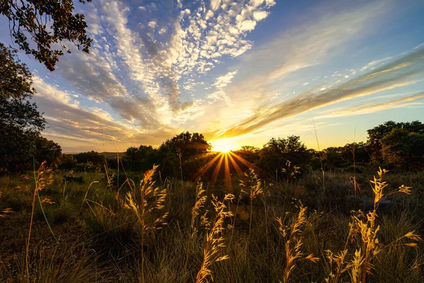 Tramonto Dorato Con Raggi Sole Che Sorgono All Orizzonte — Foto Stock