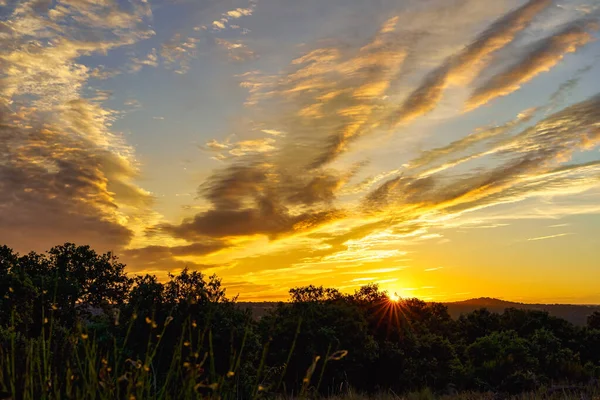 Tarlada, renkli bulutlarla altın gün doğumu.