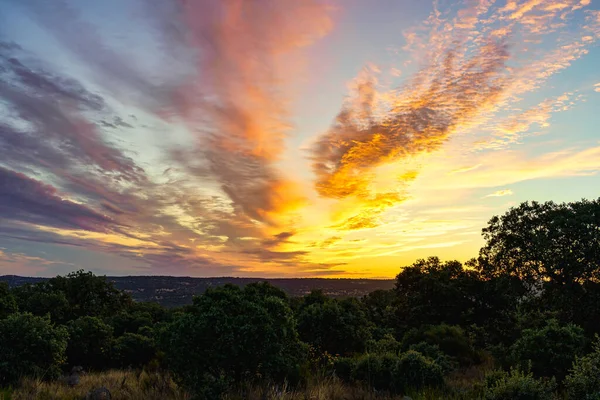 Alba Dorata Nel Campo Con Sole Che Sorge All Orizzonte — Foto Stock