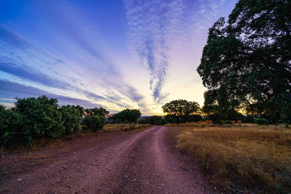 Gün doğarken toprak yol ufku gösteriyor..