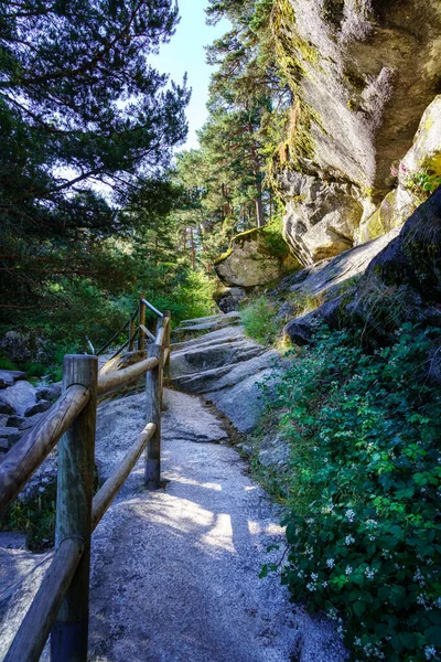 Ormanda yüksek taş duvarlar ve büyük çam ağaçları arasında yol.