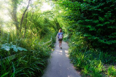 Arkasından bir kadın gün batımında orman yolunda yürüyor.