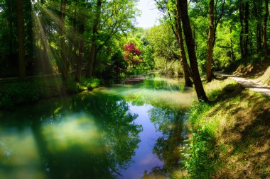 Büyülü ormandaki ağaçlardan gelen güneş ışınları nehir ve ördekler ile.