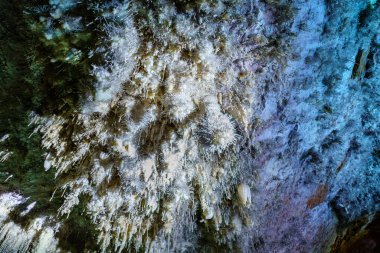 Mağaranın içindeki kayanın her tarafında yetişen tuhaf sarkıtlar..