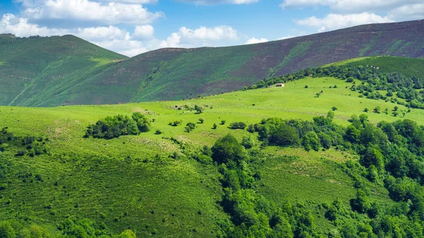 Paysage Verdoyant Panoramique Hautes Montagnes Avec Petite Maison Sommet Colline — Photo