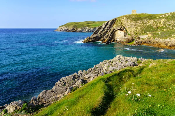 Falésias Com Vista Para Mar Com Prados Grama Verde Flores — Fotografia de Stock