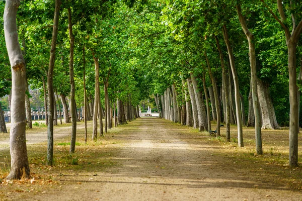 Büyük Ağaçlar Dinlenmek Için Banklarla Halka Açık Parkta Güzel Bir — Stok fotoğraf